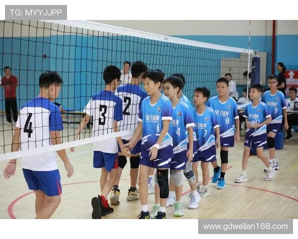 排球心理素质排行榜揭晓深圳排球队荣获第三名引发关注